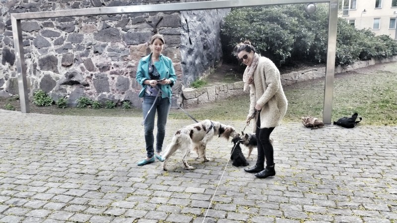 20150507_172921(0)-01